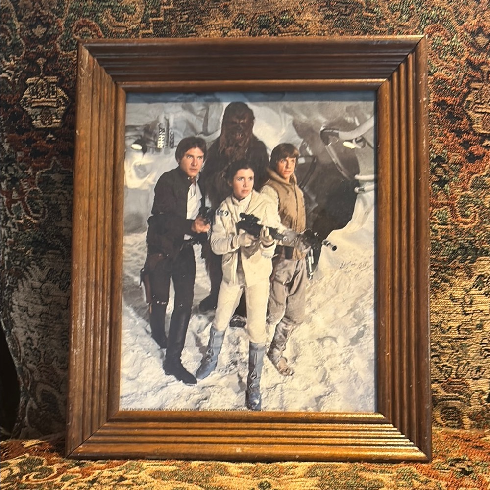 Star Wars Group Picture Han Solo, Luke Skywalker, Princess Leia & Chewbacca 1980